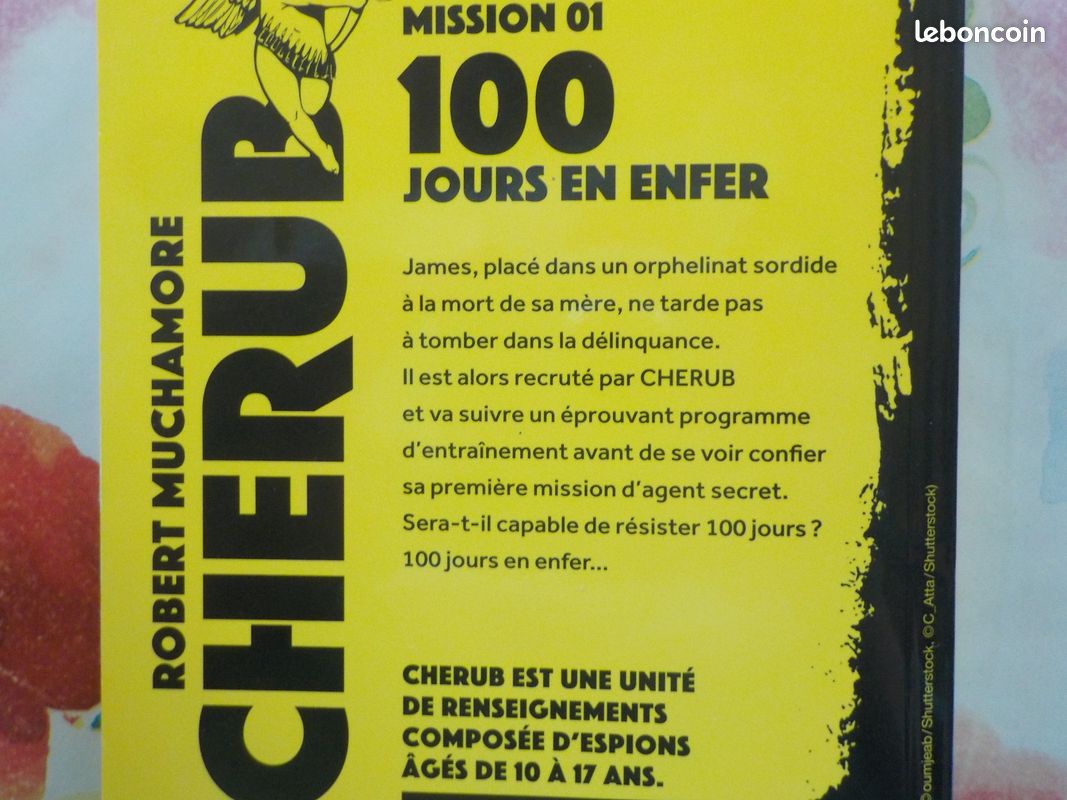 MISSION 01 100 JOURS EN ENFER CHERUB de Robert MUCHAMORE Ed. Casterman (image 2)
