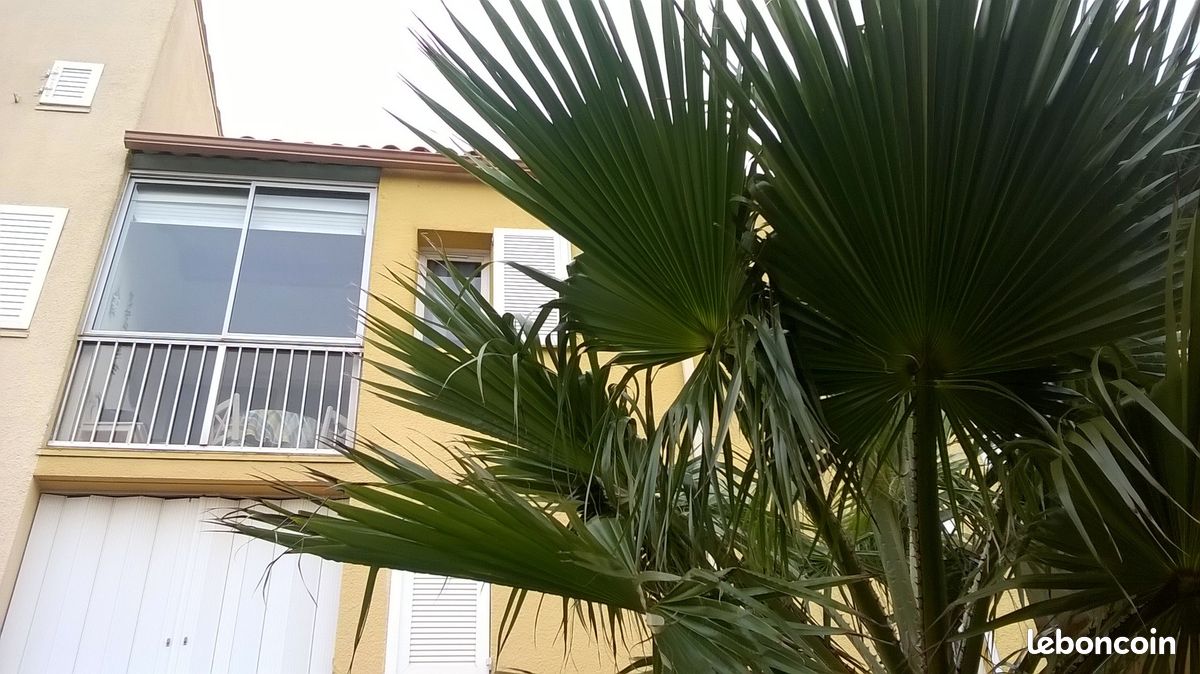 Appartement t2 bis avec vue mer (image 1)