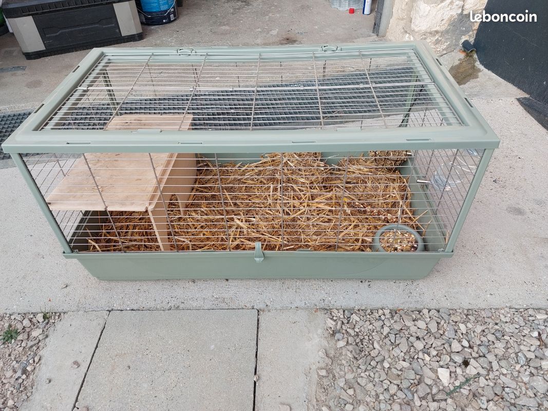 Grande cage à lapin avec accessoires – Très bon état (image 2)