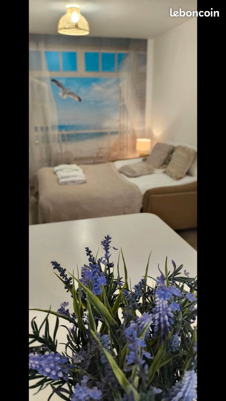 Appartement 2 pièces 34 m² · à Monteux · 34 m² · 450 €/mois