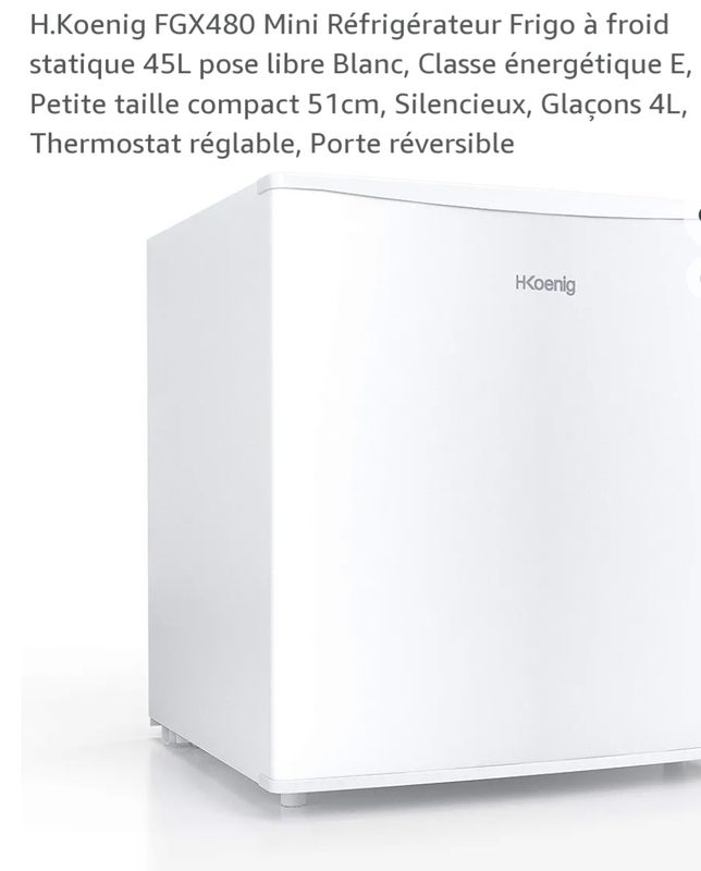 H.Koenig FGX480 Mini Réfrigérateur Frigo à froid statique 45L pose libre  Blanc, Classe énergétique E, Petite taille compact 51cm, Silencieux,  Glaçons 4L, Thermostat réglable, Porte réversible : : Cuisine et  Maison