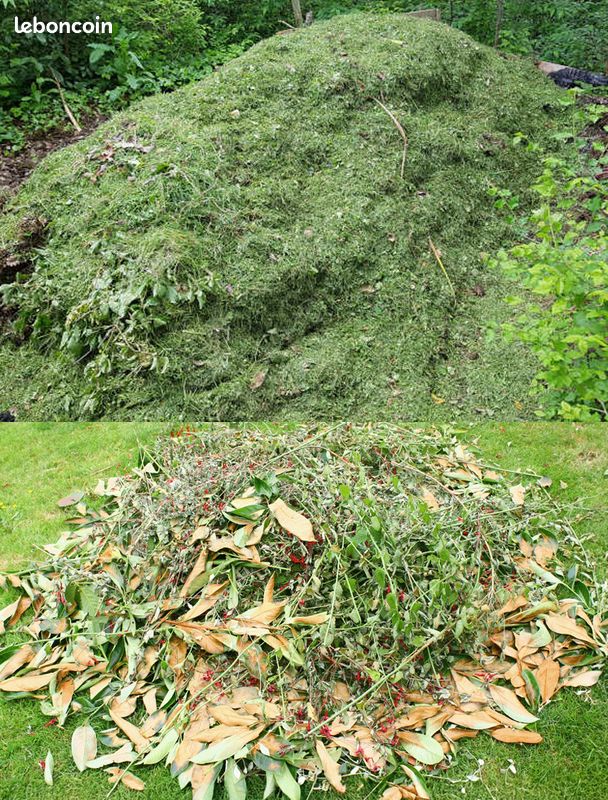 Accepte tonte herbe - feuilles mortes - tailles haies (image 1)