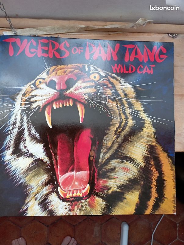 Tygers of Pan Tang : Wild Cat (image 1)