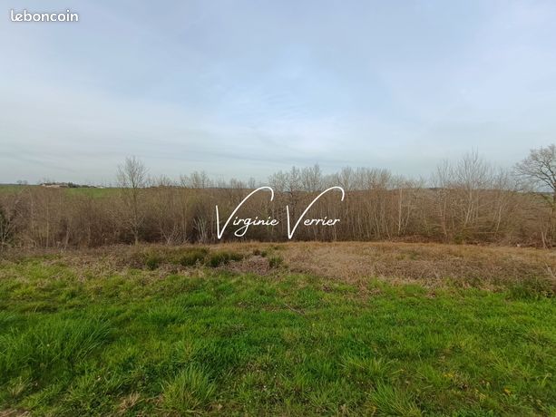 Terrain 2469 m² louignac