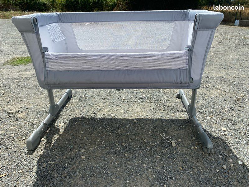Cododo bébé (image 4)