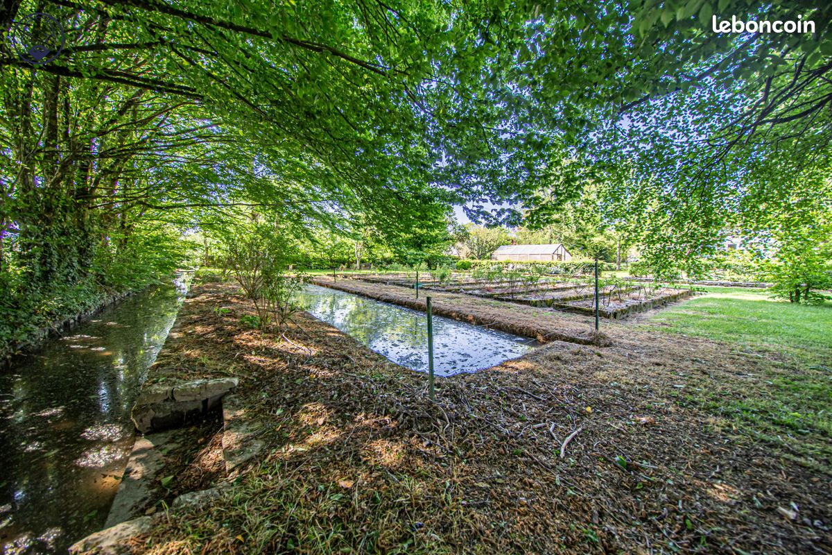Propriété 10 pièces 314 m² (image 5)