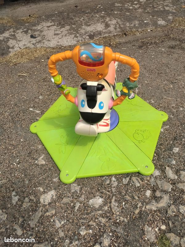 Zèbre tournirebon (image 1)