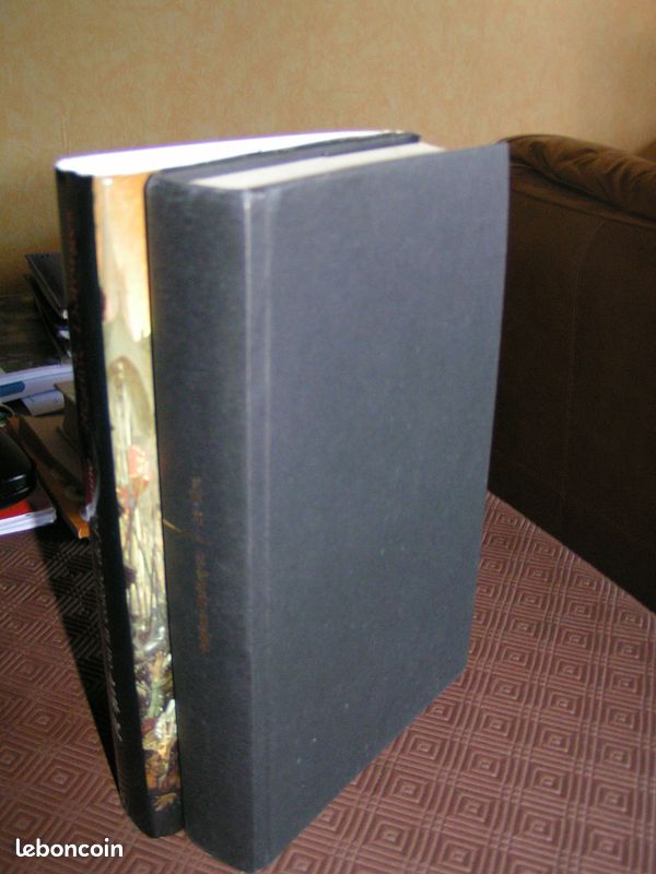 La Hire ou la colère de Jehanne ( 2 Euro* ) _ Régine Deforges, roman historique (image 5)