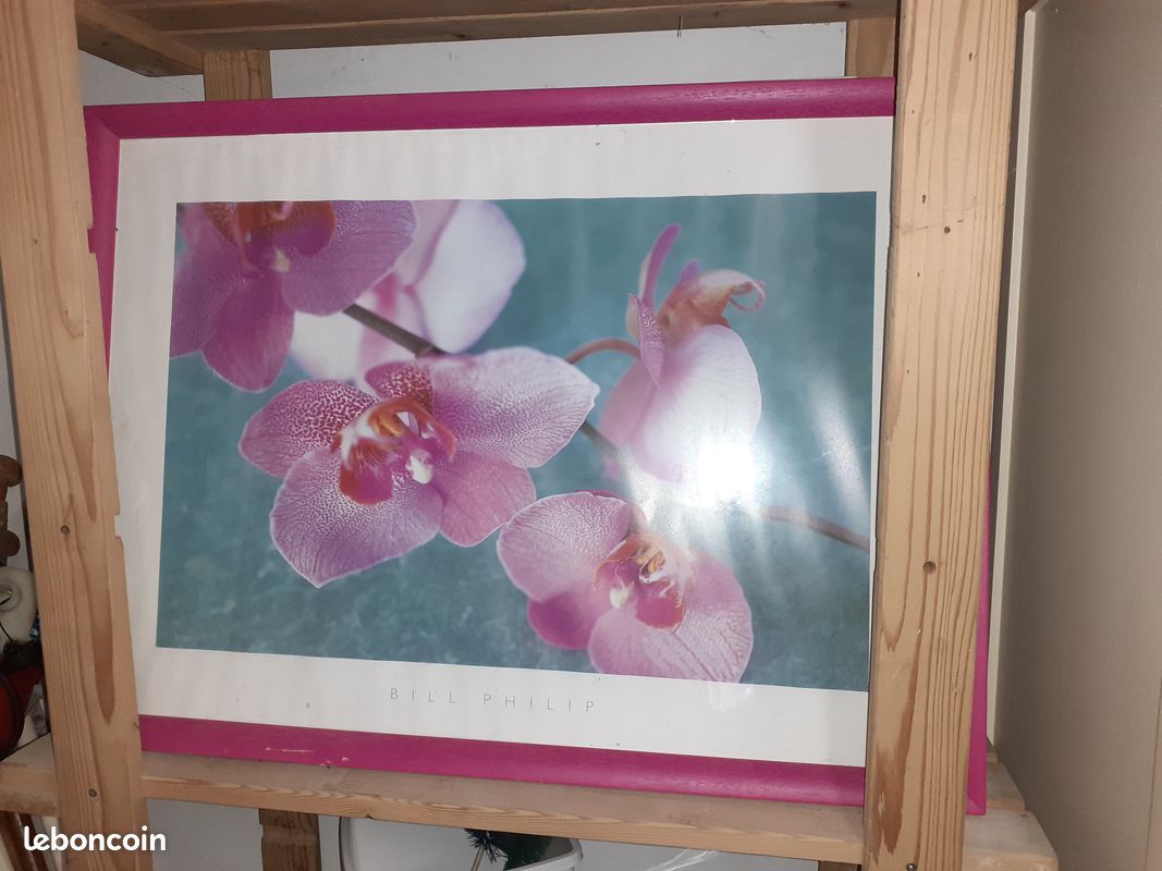 Cadres zen fleurs (image 3)