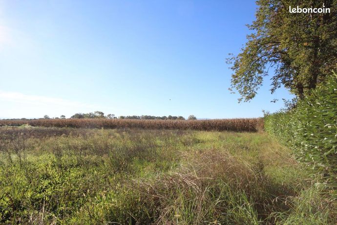 Terrain 1 528 m² Uzein