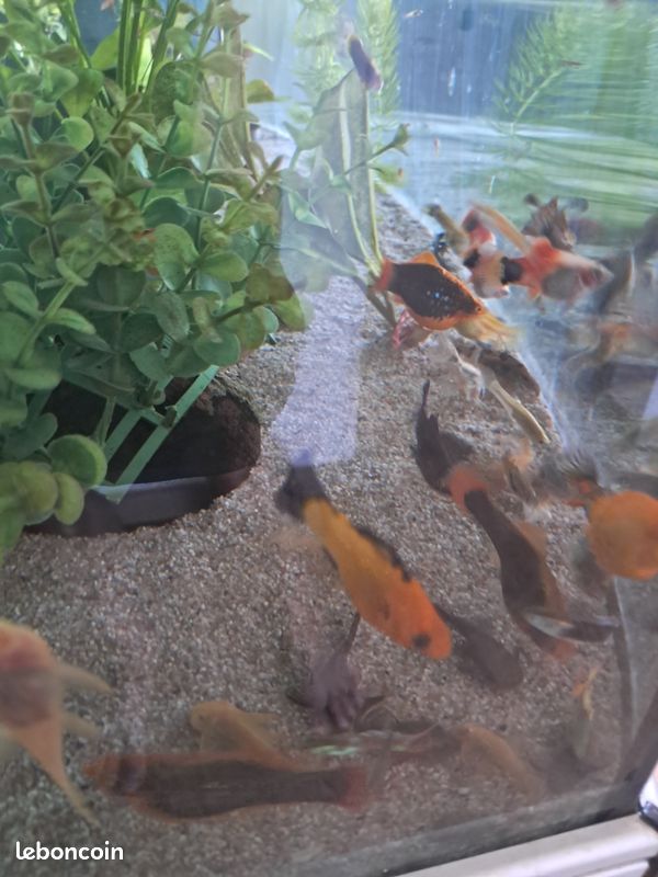 Aquarium 180l (image 1)