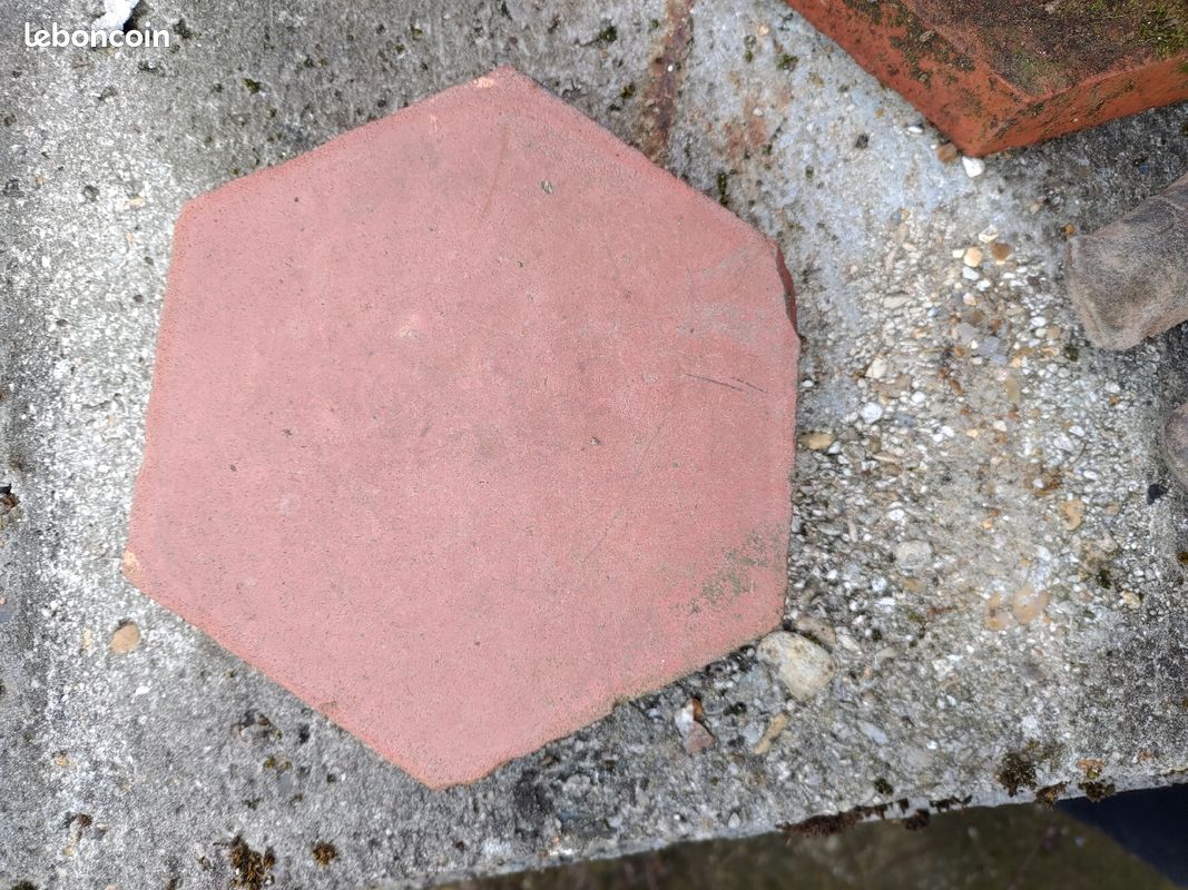 Tomette hexagonale (image 1)