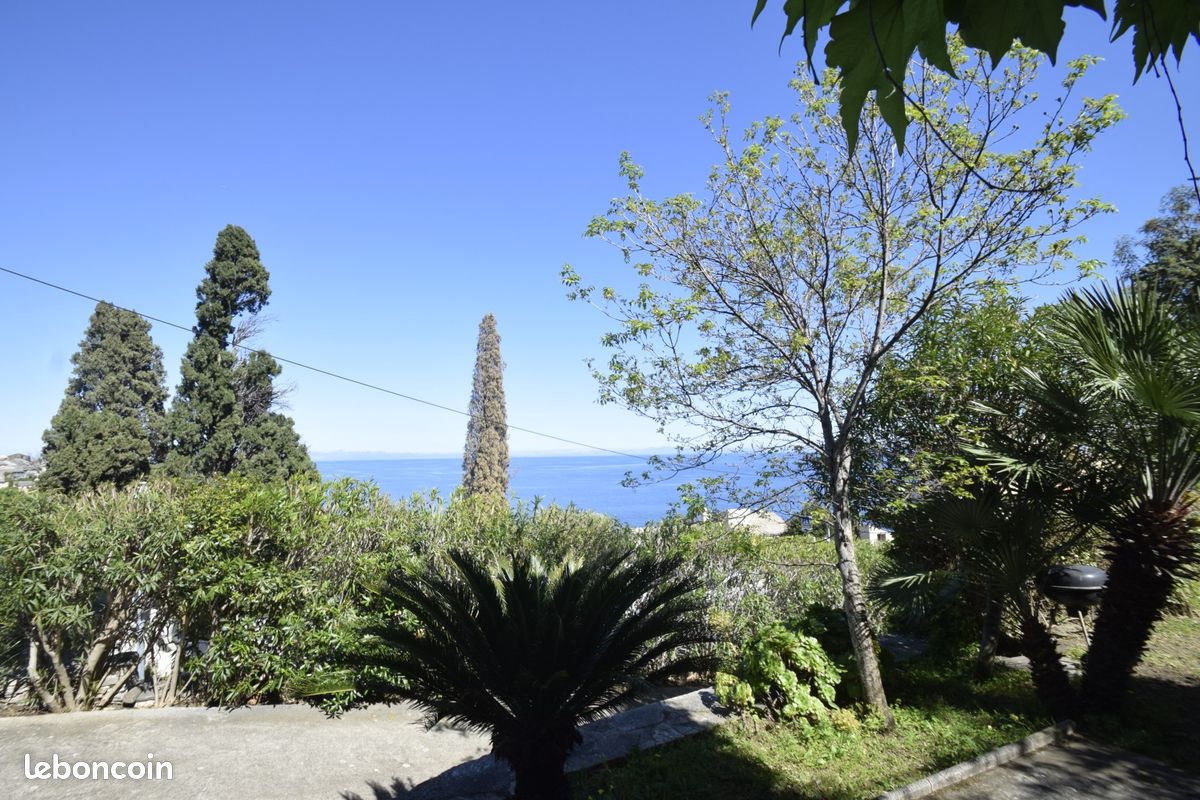 Appartement 1 pièce 30 m² · à San-Martino-Di-Lota · 30 m² · 520 €/mois