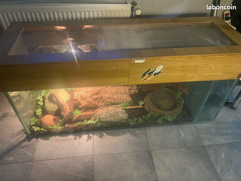 Terrarium (image 1)