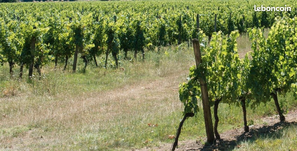 Maison 8 pièces 165 m² · à Libourne · 165 m² · 2 415 000 €