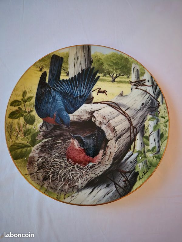 17 assiettes en porcelaine de Limoges : collection neuves "Water birds of the world" (image 2)