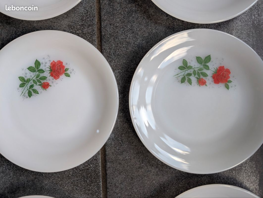 Plat Rond Arcopal En Verre Opale - Modèle Roseraie - Vintage XXe