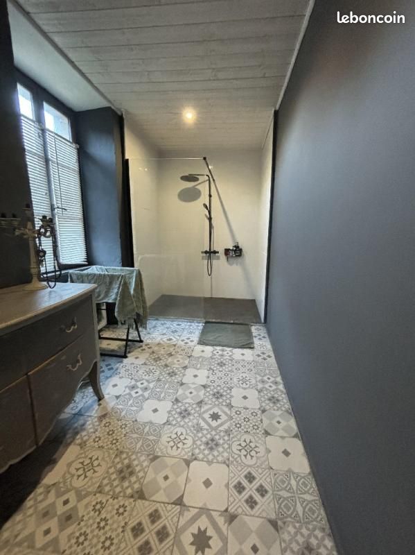 Propriété 12 pièces 303 m² (image 8)
