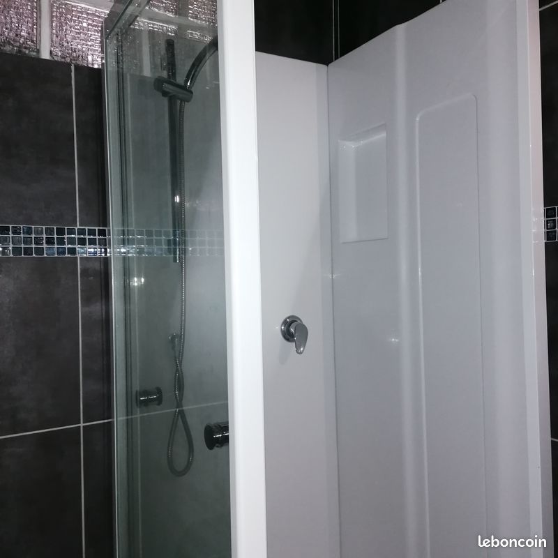 Appartement Type 3 / Design Contemporain - Limoges 87000 Centre-Hôtel de Ville Emailleurs (image principale 7)