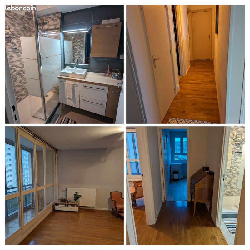 Loue appartement 1 pièce 9m2 - Limoges 87000 (image principale 2)