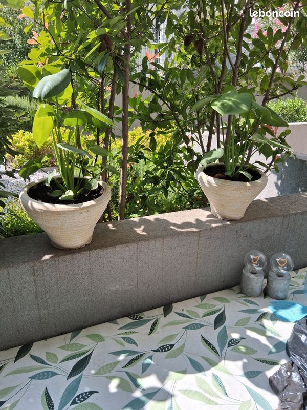 Table Jardine avec 4 cshez (image 1)