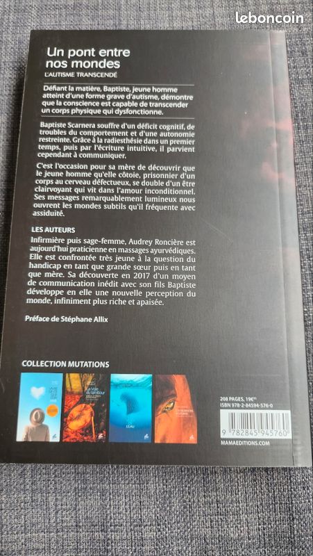 Un pont entre nos mondes d'Audrey Ronciere livre neuf (image 2)