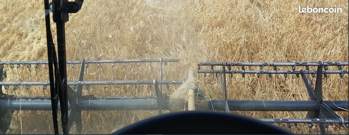 Geringhoff GS 480 Grainstar (image 7)