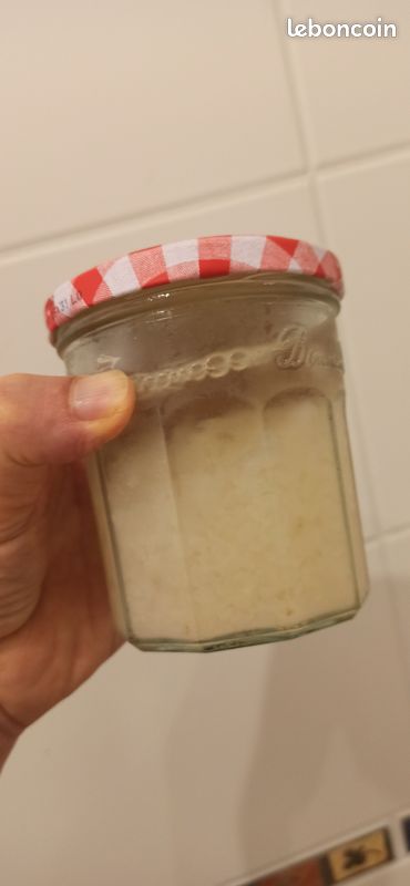 Kefir de fruit (image 1)