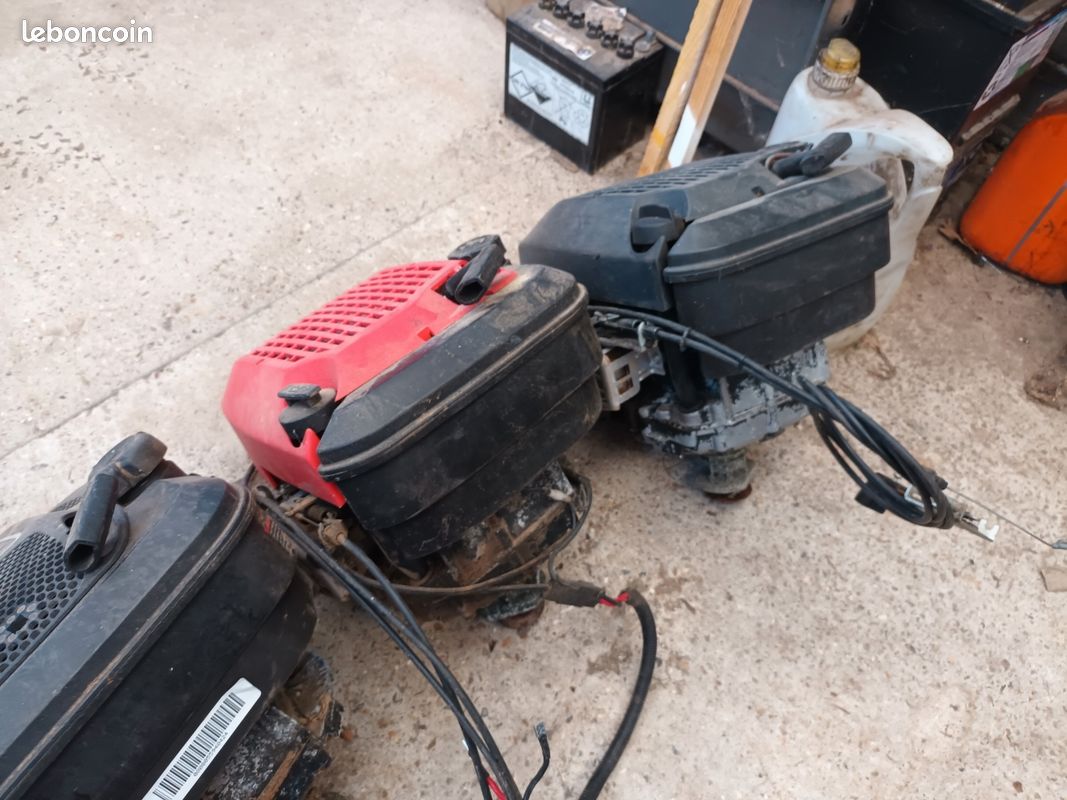 Différents moteurs BRIGGS pour tondeuses (image 3)