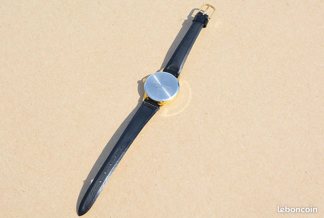 Montre Erlanger 17 Rubis Antichoc (image 4)