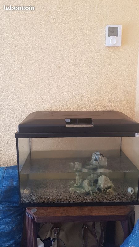 Aquarium (image 2)