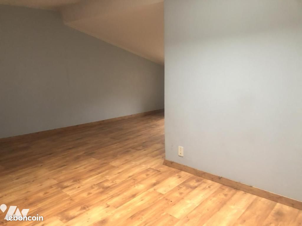 Immeuble 519 m² ANCENIS (image 4)
