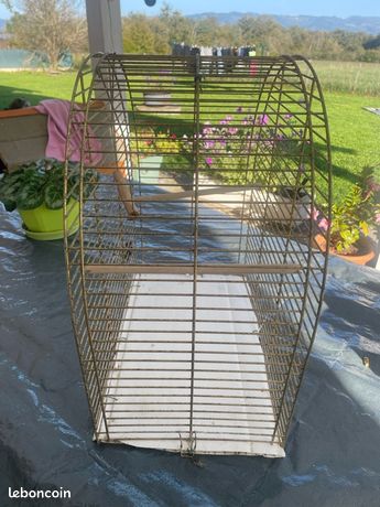 Sitemapcdatahttpnuwkniqoocomcage Oiseaux Occasion Particulier