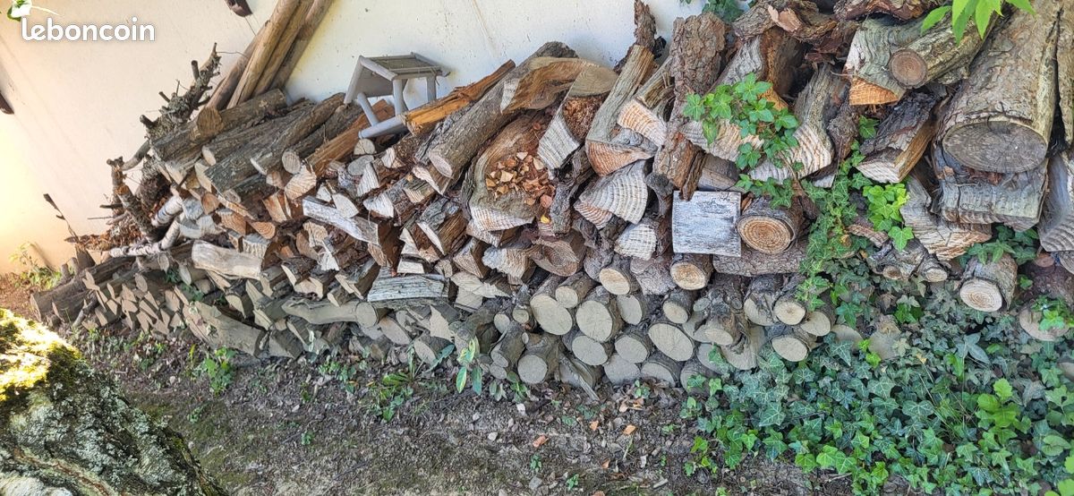 Vente totalite du bois de chauffe : 200 (image 2)