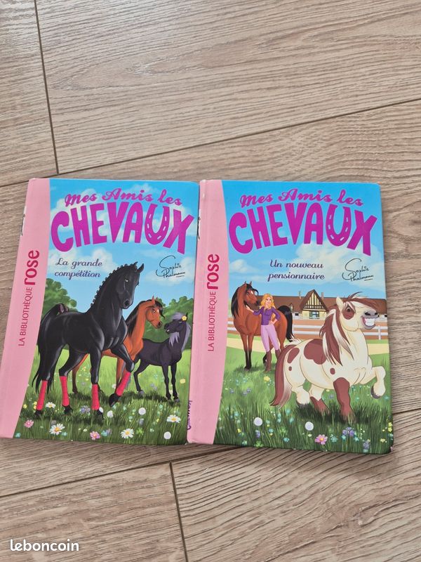 Lot de 2 livres mes amis les chevaux (image 2)