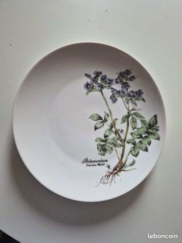 1 Assiette porcelaine fine mobil polemonium (image 5)