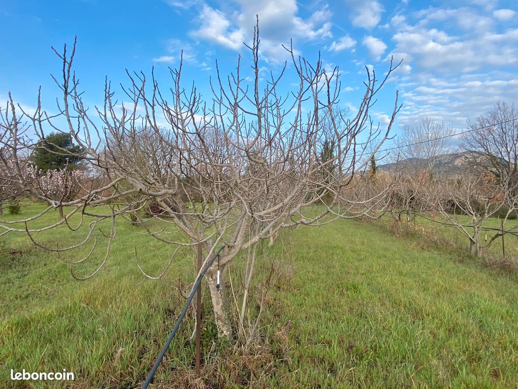 Terrains agricoles Figuiers "Longue Noire" - CAROMB · 15 270 €