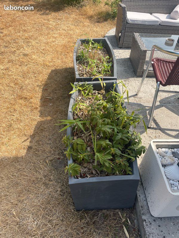 Bacs à plantes (image 2)