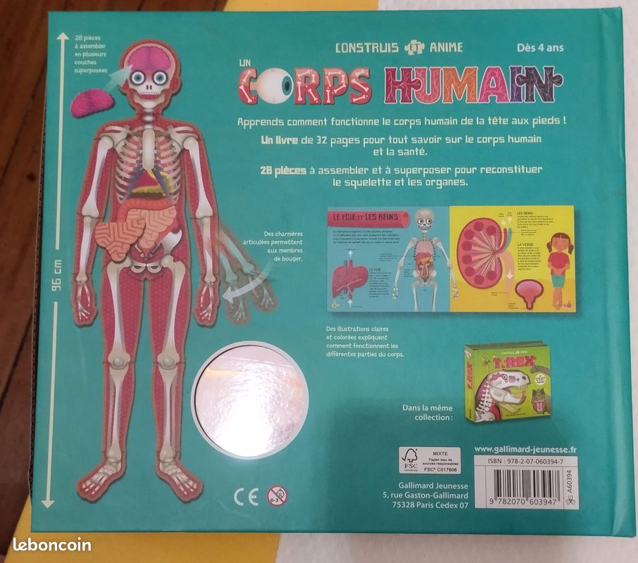 Construction corps humain (image 2)
