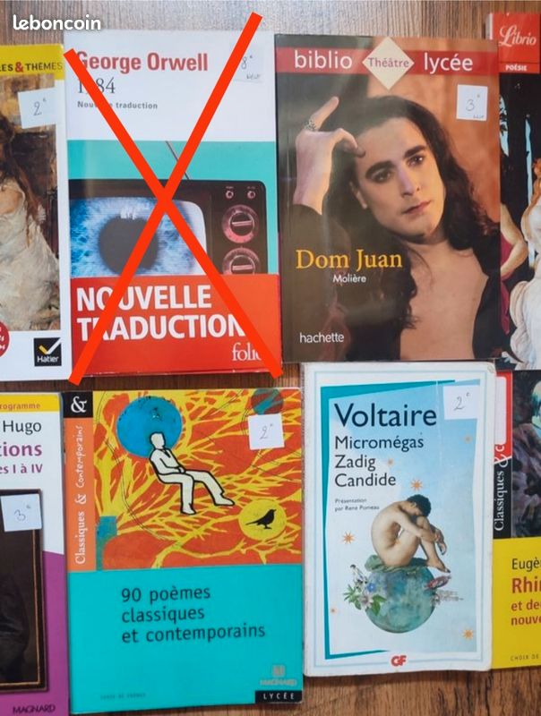 Livres de français (image 4)