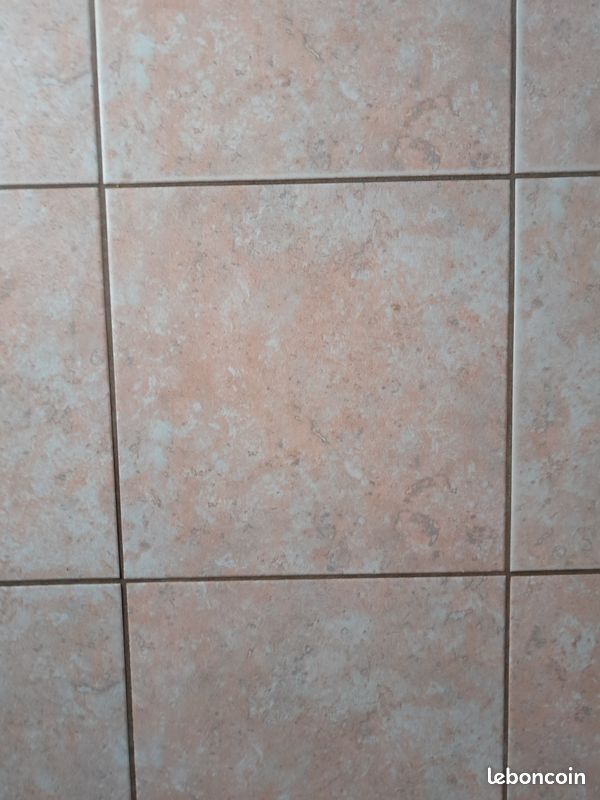 Carrelages (image 1)