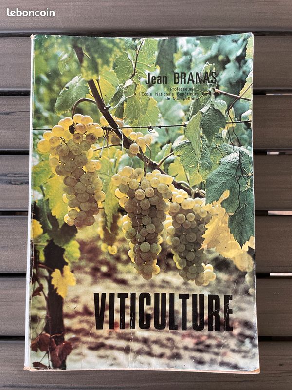 Viticulture de Jean Branas (image 1)