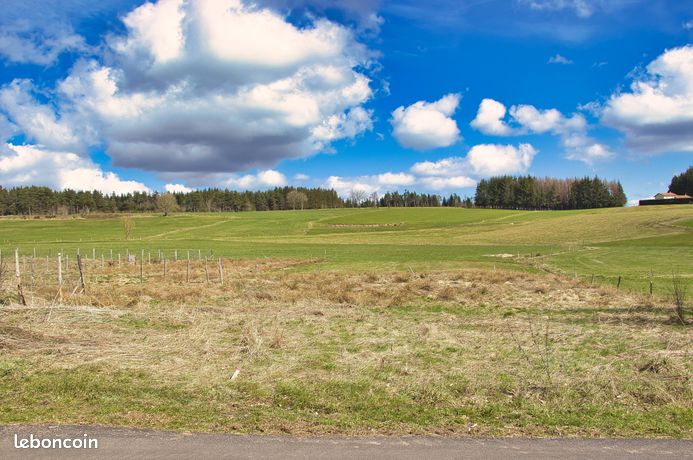 Terrain 1132 m² Montregard