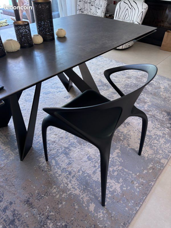 Chaises Ava Roche et Bobois (image 3)