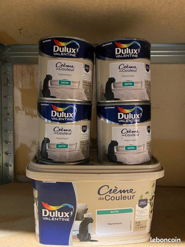 Peinture Dulux hammam (image 1)