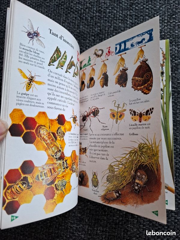 Livre À la campagne en bon état (image 3)