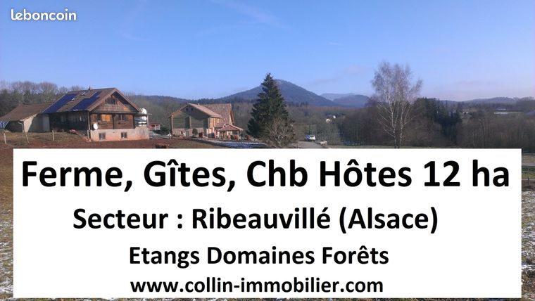 Terrain 120000 m² Ribeauville
