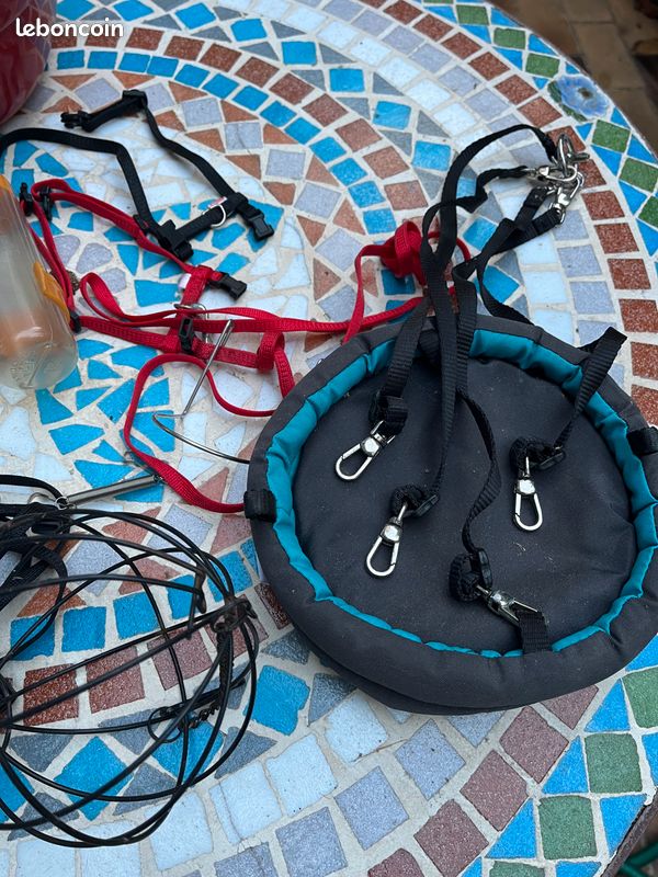 Vends boîte de transport pour cochon d’Inde et accessoires (image 3)