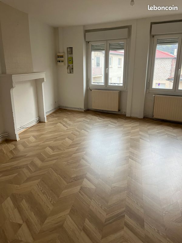 Appartement 2 pièces 50 m² · à La Ricamarie · 50 m² · 410 €