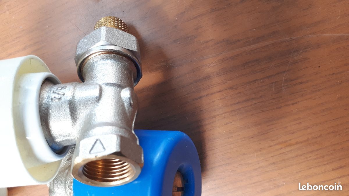 Tête de robinet de radiateur (image 3)